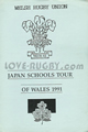 Welsh Tertiary College Japan Schools 1991 memorabilia